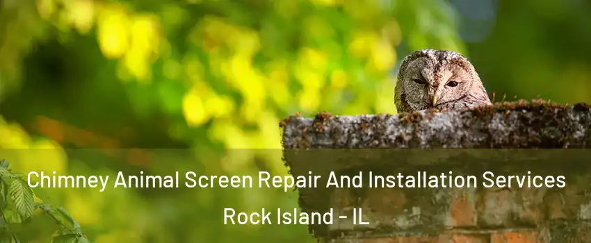  Chimney Animal Screen Repair And Installation Services Rock Island - IL